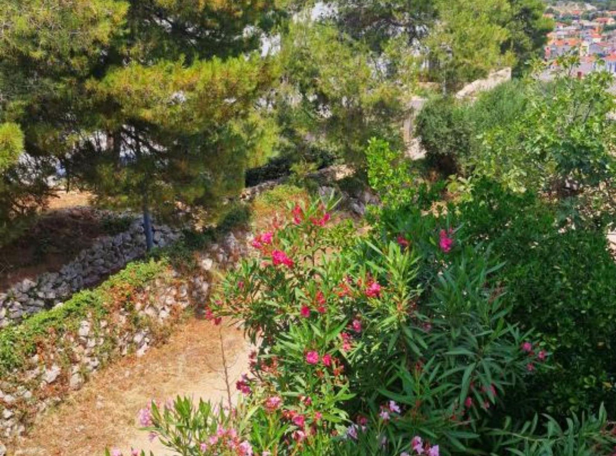 Pansion Belvedere Mali Lošinj Exterior foto